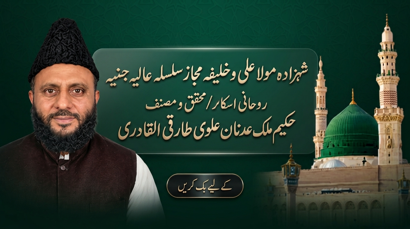 حکیم ملک عدنان علوی طارق القادری - روحانی خدمات